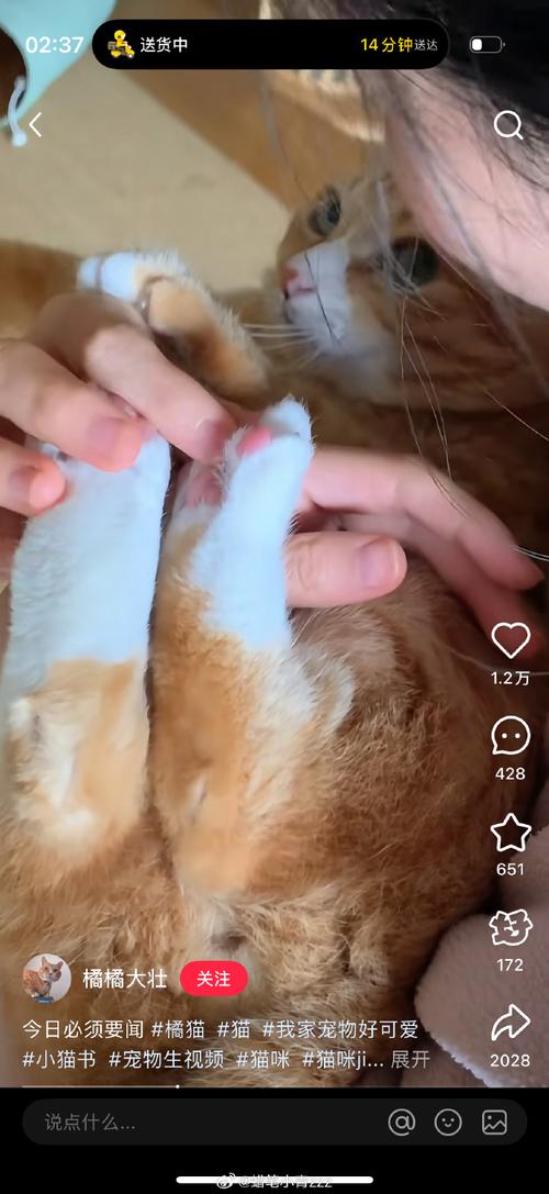 小红书怎么改变喜欢