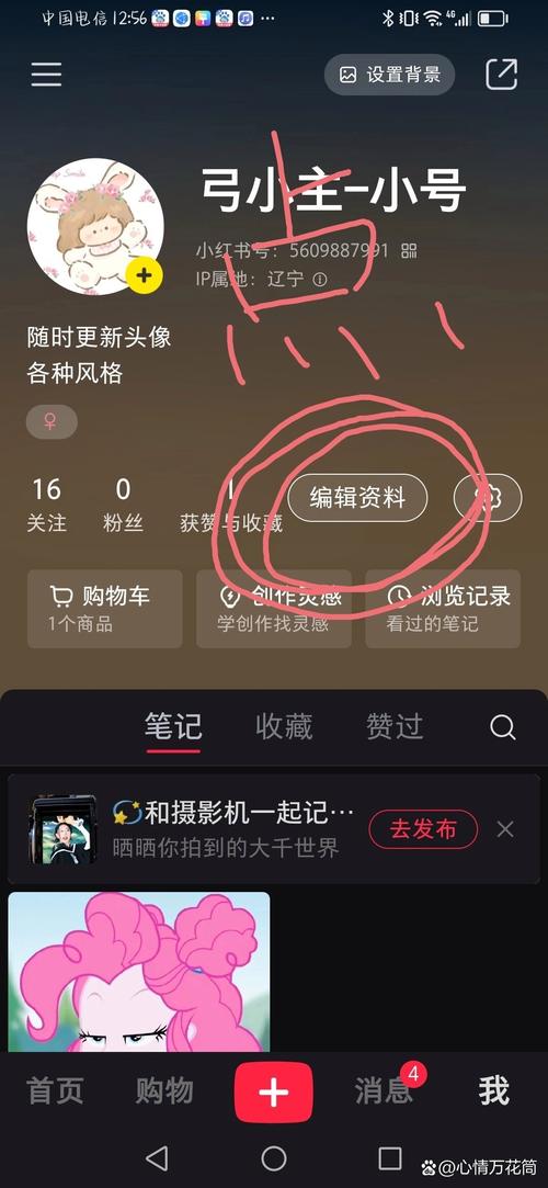 为什么小红书无法修改名称?修改失败的原因和解决方法是什么?