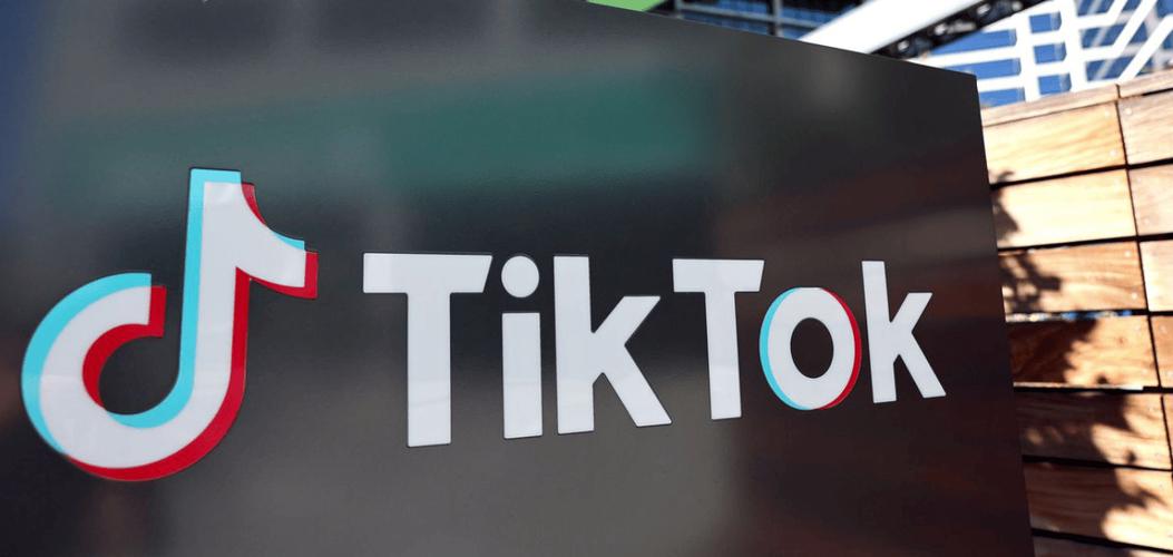 抖音国际版apk下载安全吗？有哪些潜在风险与使用限制？