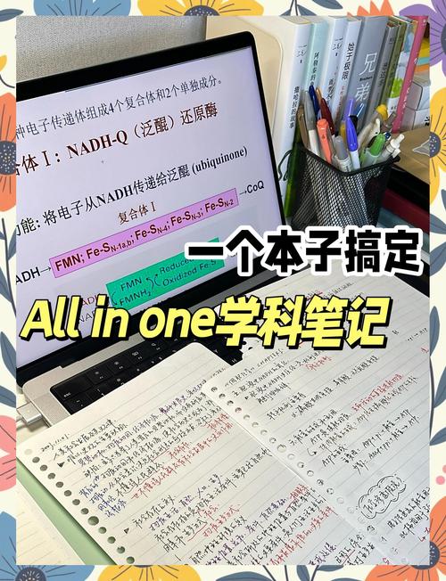 电脑版小红书笔记如何高效操作？隐藏功能与实用技巧全解析！