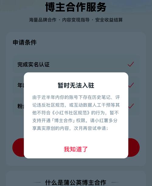 小红书超级用户权限究竟是什么？普通用户如何才能获得这些特权？