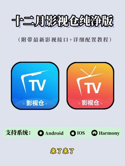 抖音、中文、迅雷三者之间是否存在隐藏的功能联动或用户行为交集？