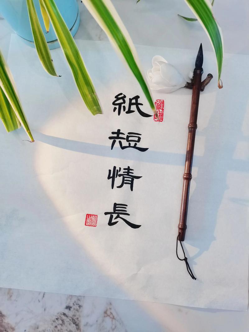 纸短情长抖音写法