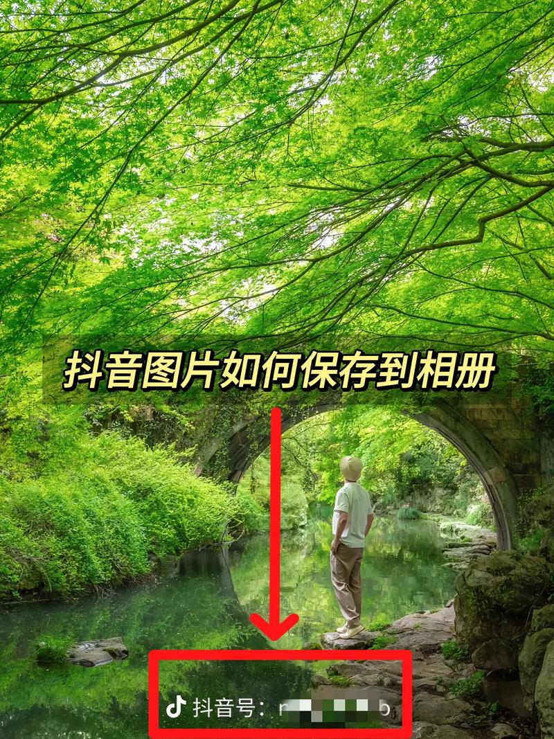 为什么小红书保存的照片总模糊?原图权限在哪?一键保存高清图的正确方法是什么?