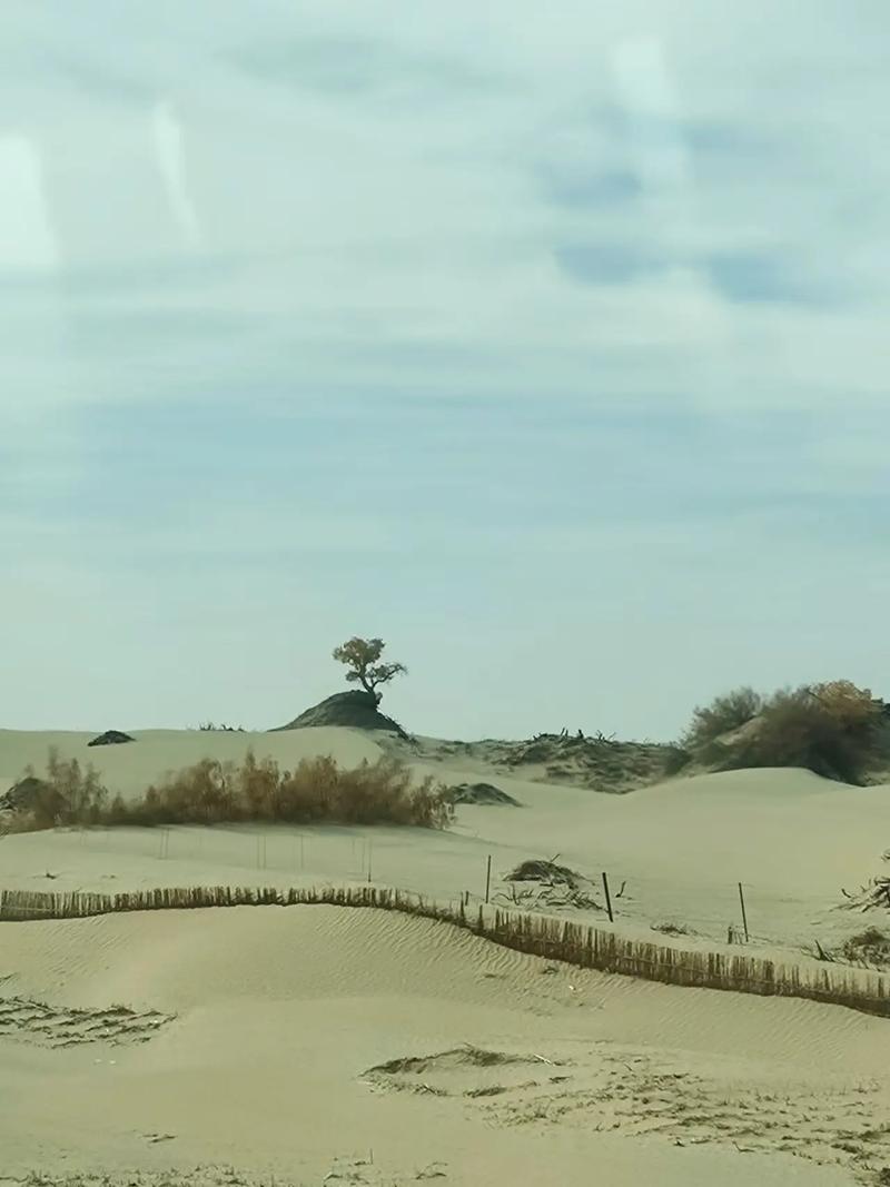 抖音bgm沙漠为何能成爆款?它藏着怎样的情绪密码与传播逻辑?