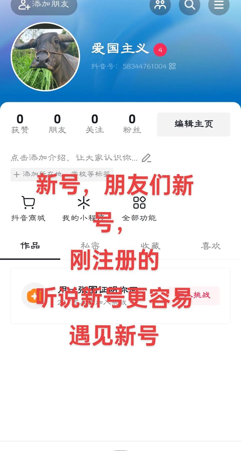 抖音关注列表背后藏着怎样的用户行为密码？算法推荐与社交关系如何重塑内容连接？