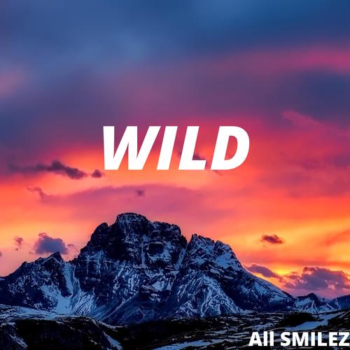 wild下载抖音安全吗？是否需要付费？能直接保存无水印视频吗？