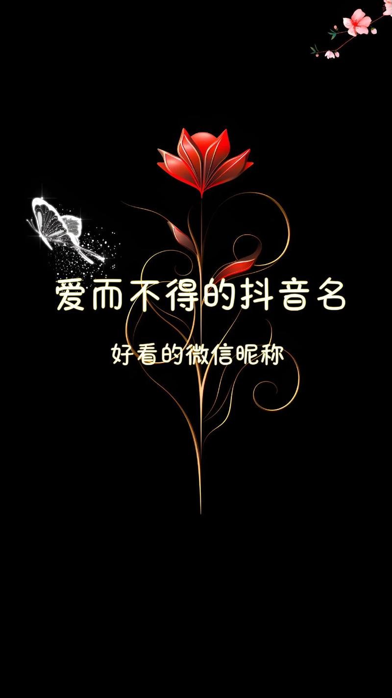 快手发图片黑色怎么弄