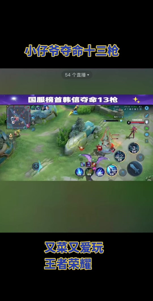 快手王者荣耀仔爷是谁？他的技术特点和直播风格有何独特之处？为何能在众多主播中脱颖而出吸引大量粉丝？