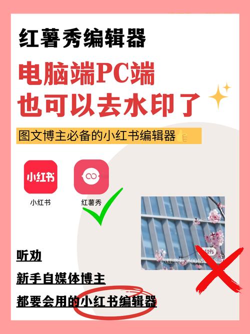 小红书笔记图片/视频怎么下载?有没有方法能一键保存所有图文资料?