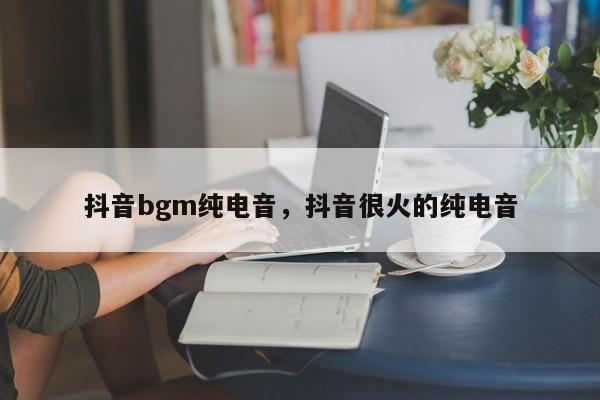 抖音bgm纯电音，抖音很火的纯电音