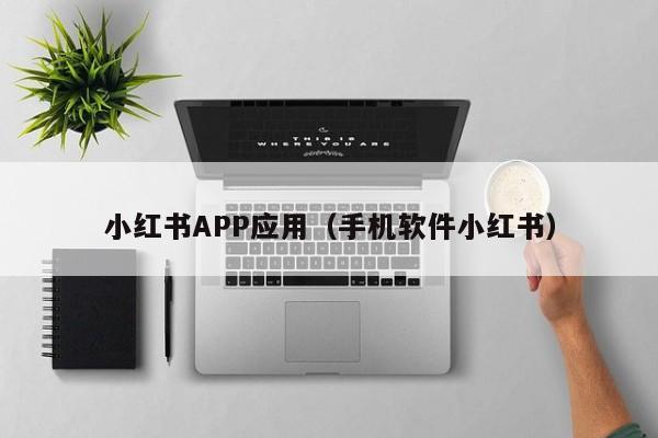 小红书APP应用(手机软件小红书)
